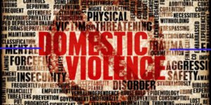 Information about Domestic Violence Act-2005