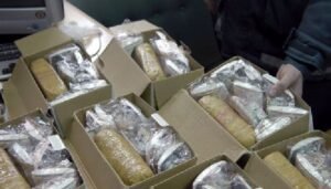 drugs smuggled at india pak border