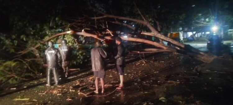 Havoc Of Cyclonic Storm: तमिलनाडु में चक्रवाती तूफान ‘मैंडूस’ का देर रात कहर