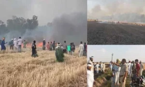 Weather Hits Farmers