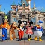 India First Disney Land