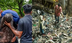 Bengaluru Stampede Case