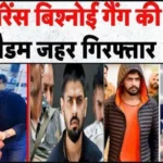 Lawrence Gang Lady Don