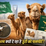 Saudi Arabia Camel Passport
