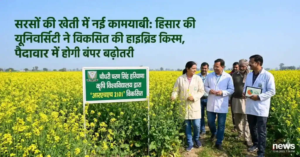 Hybrid Mustard Variety