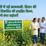 Hybrid Mustard Variety