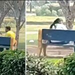 Japanese Park Viral Video