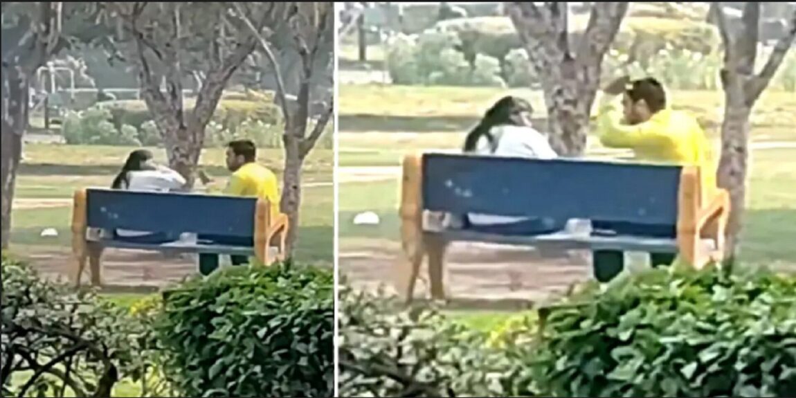 Japanese Park Viral Video