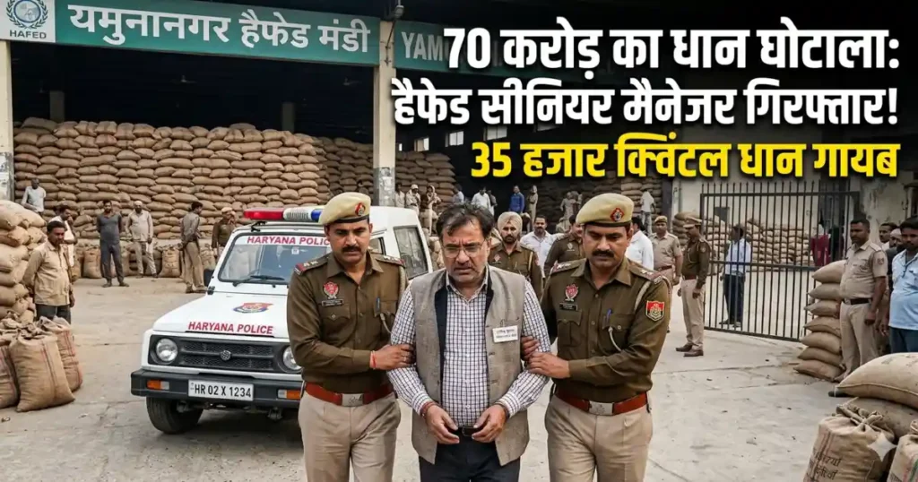 Yamunanagar Paddy Scam