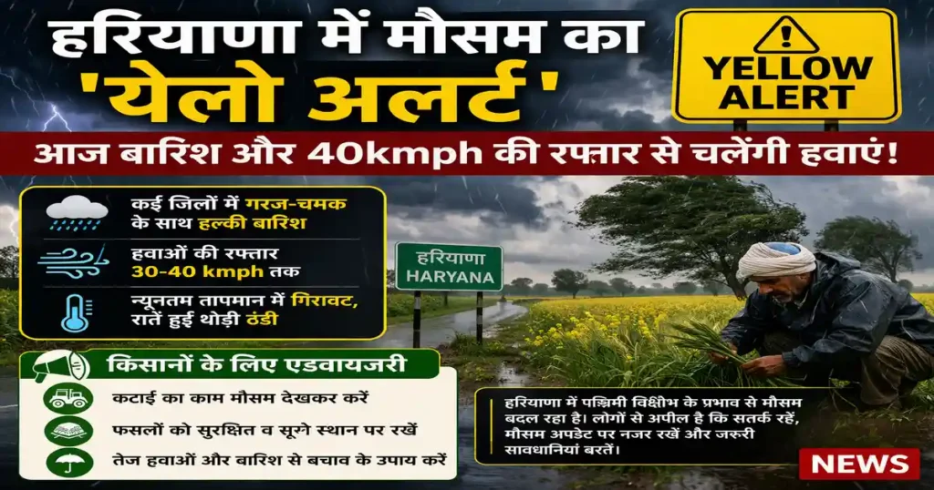 Yellow Alert in Haryana