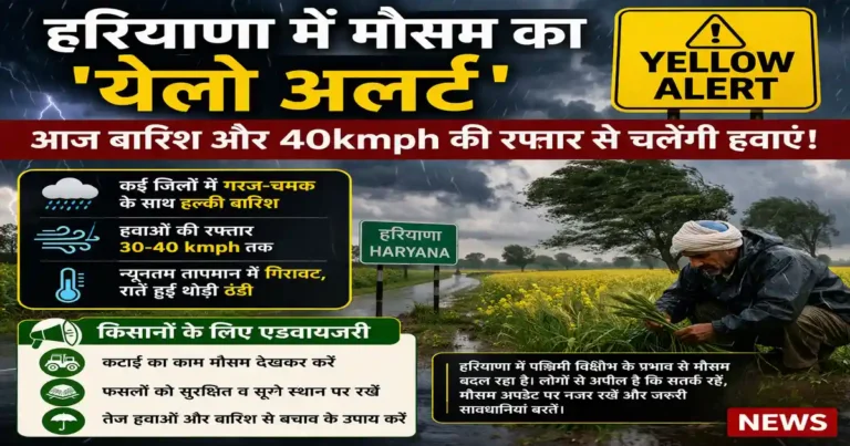 Yellow Alert in Haryana