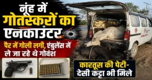 Nuh Cow Smugglers Encounter