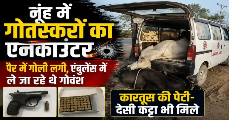 Nuh Cow Smugglers Encounter