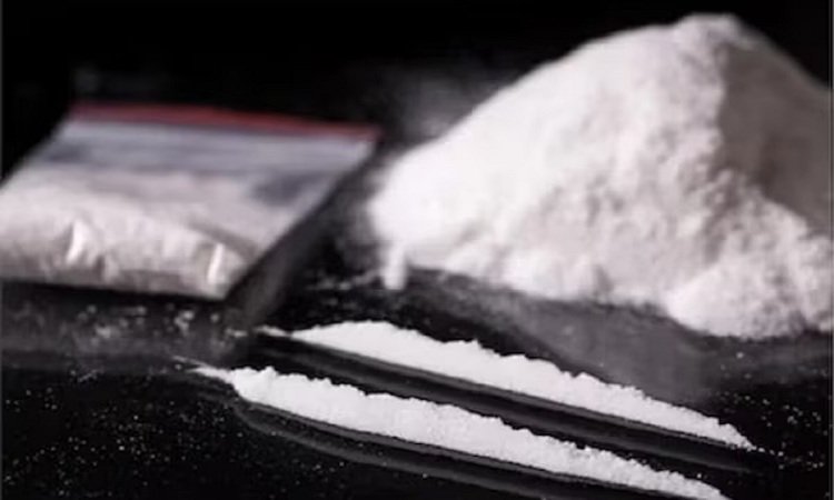 Drugs Recovered: असम-मिजोरम में ड्रग्स की बड़ी खेप बरामद, 390 करोड़ कीमत जान अफसर हुए हैरान