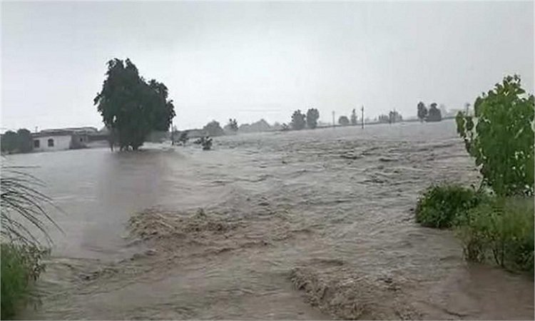 Ghaggar River Threat: हनुमानगढ़ में बाढ़ का खतरा बरकरार, प्रशासन पूरी तरह से अलर्ट मोड पर, जानिये पूरा मामला