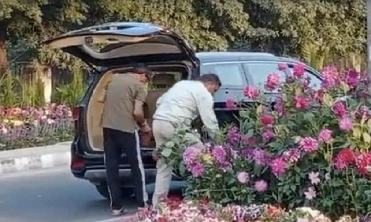 Stolen in Luxury Car: गुरुग्राम का करोड़पति चोर.! G- 20 सम्‍मेलन के गमले चुराने वाला मनमोहन गिरफ्तार