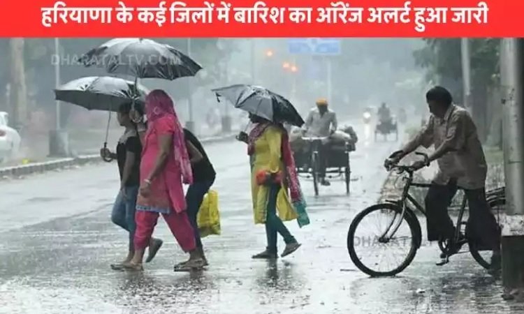 Haryana Weather Update